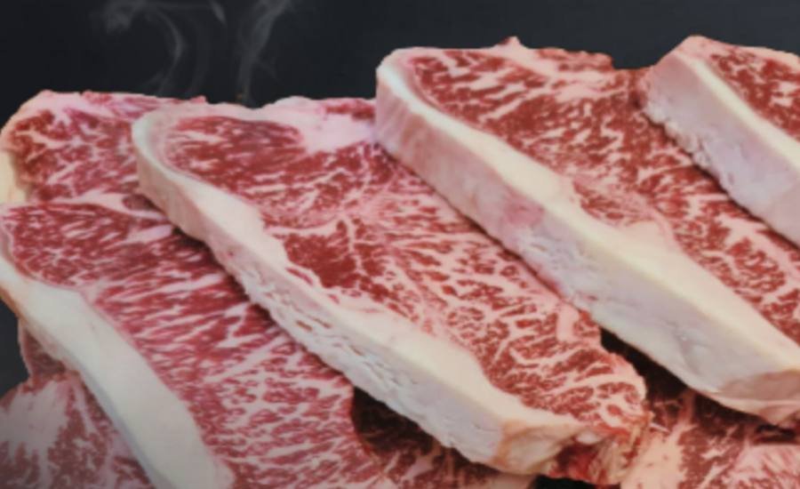 Wagyu beef, marble score 9 and above